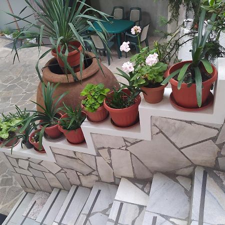 Каламанди 阿塞诺夫格勒 外观 照片
