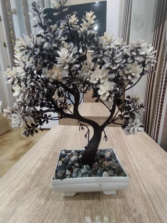 Каламанди 阿塞诺夫格勒 外观 照片