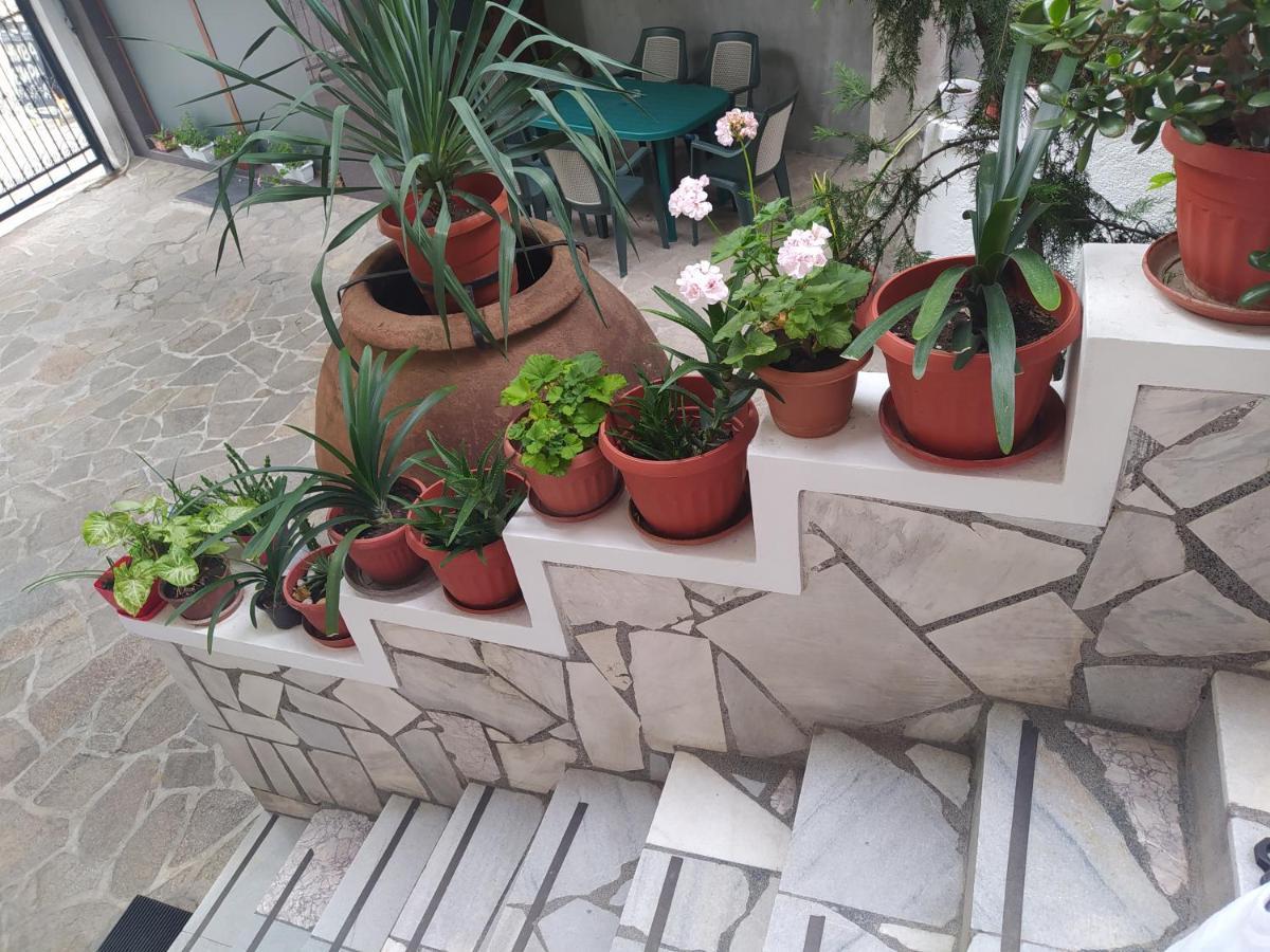 Каламанди 阿塞诺夫格勒 外观 照片